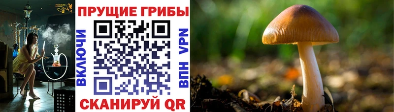 Галлюциногенные грибы ЛСД  Старая Купавна 
